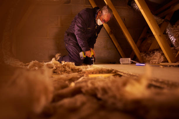 Best Eco-Friendly Insulation in Oak Hill, WV